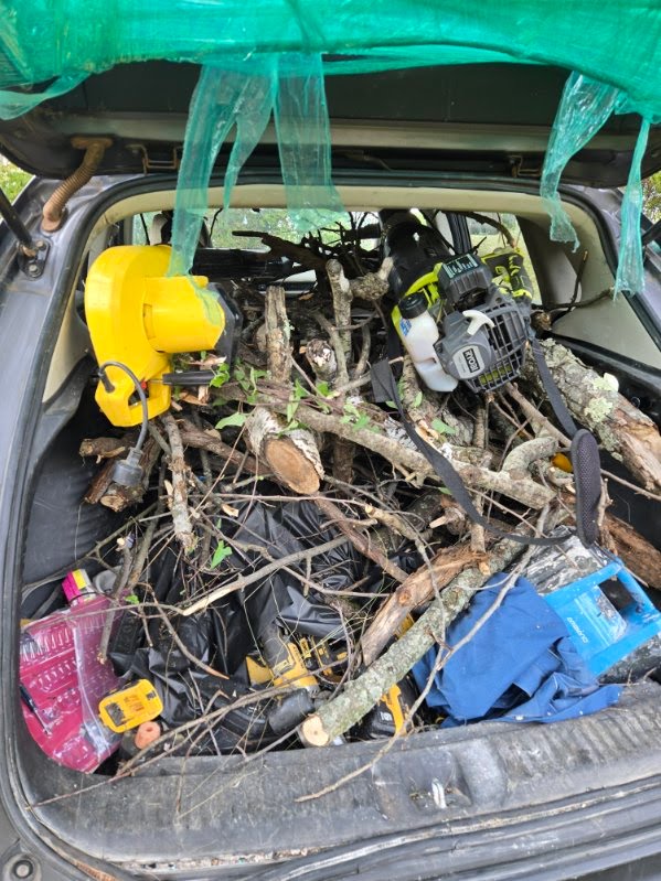 Disaster recovery field cleanup operations